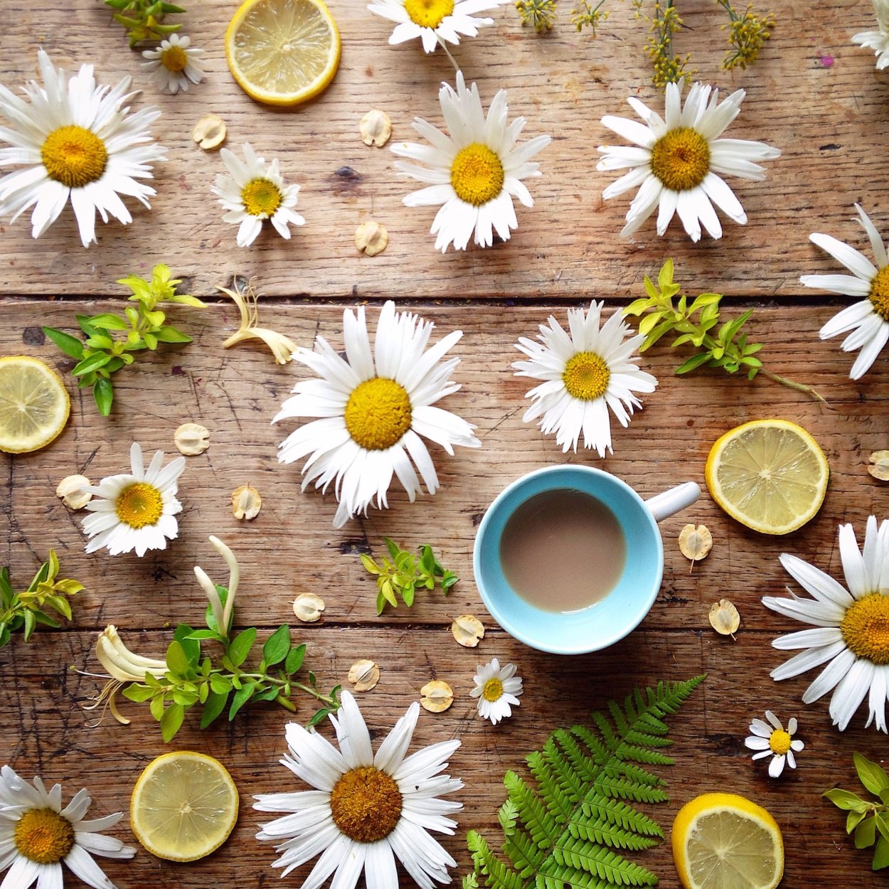 Утро кофе ромашки