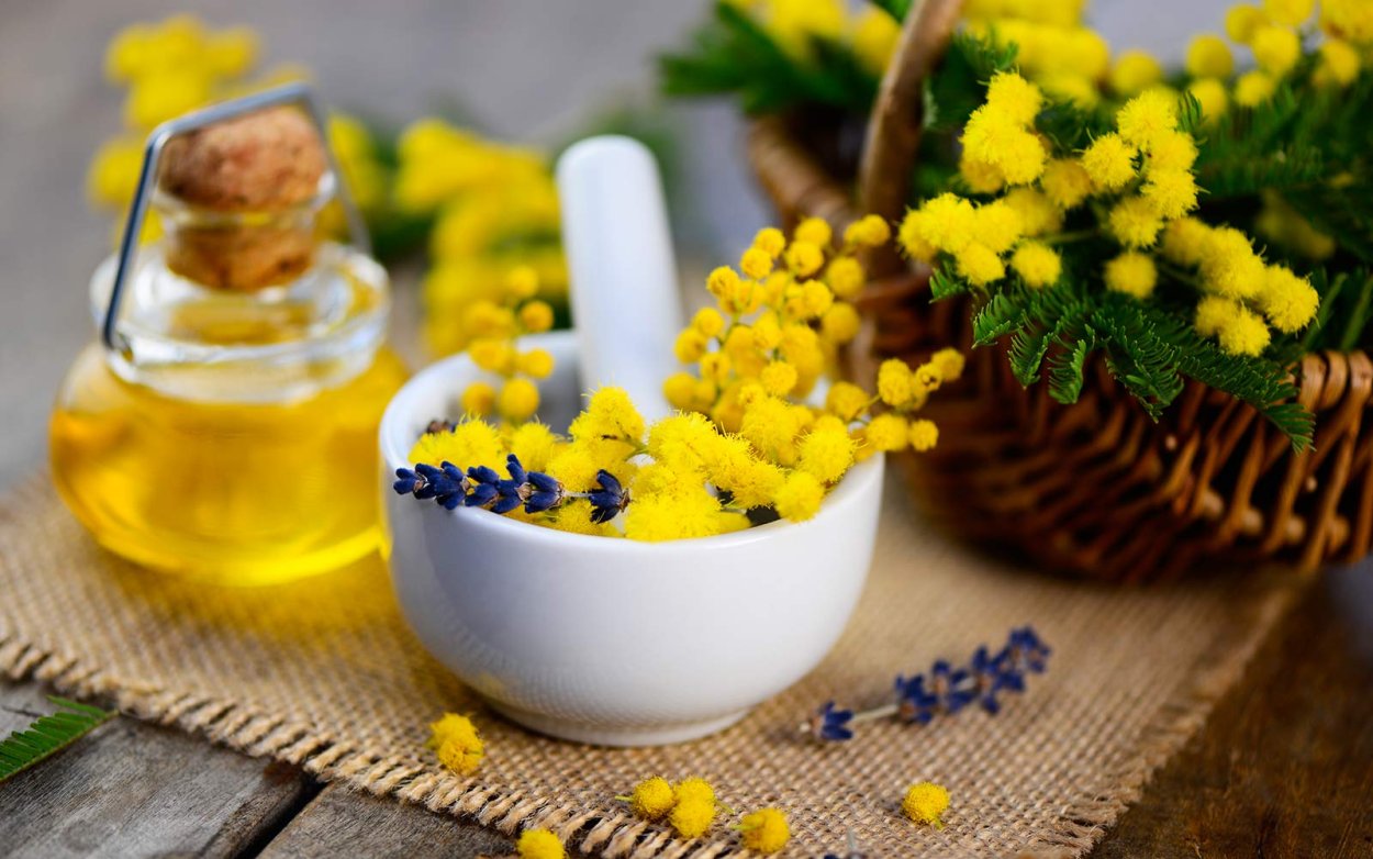 Мимоза цветочный воск