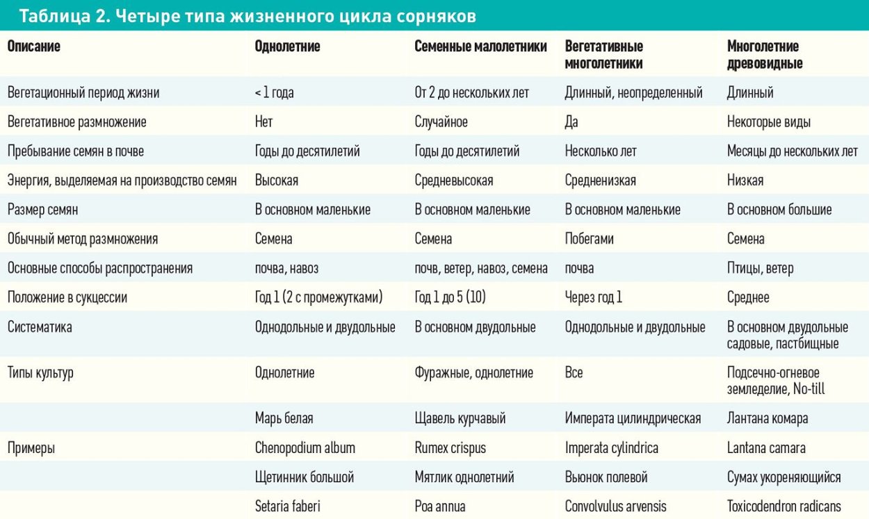 Луговик дернистый