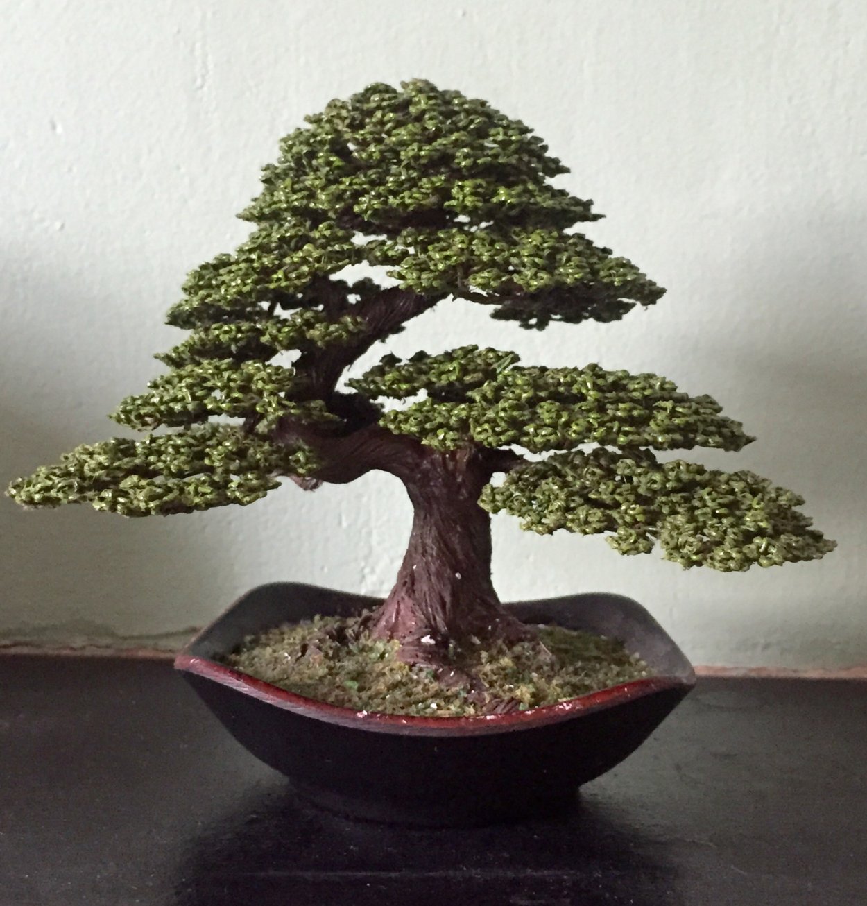 Бонсай Индор