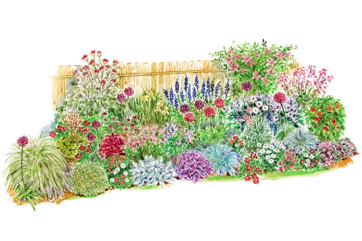 Схема миксбордера непрерывного цветения