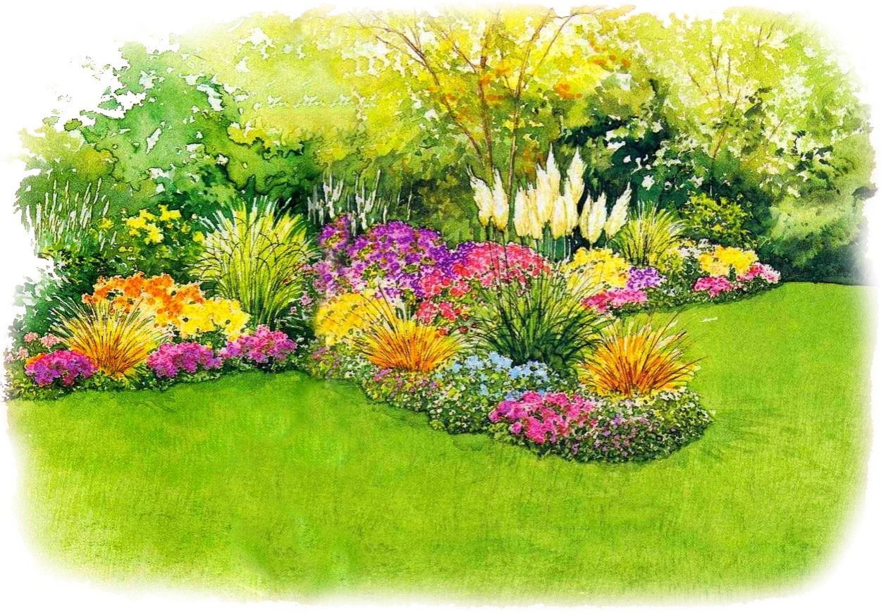 Миксбордер рабатка Люпин Флокс