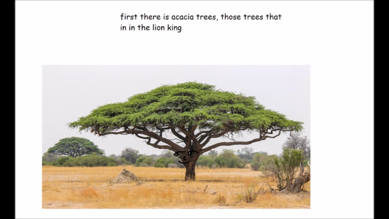 Бирючина ниваки