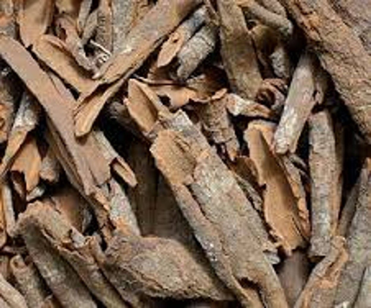 Кора хинного дерева