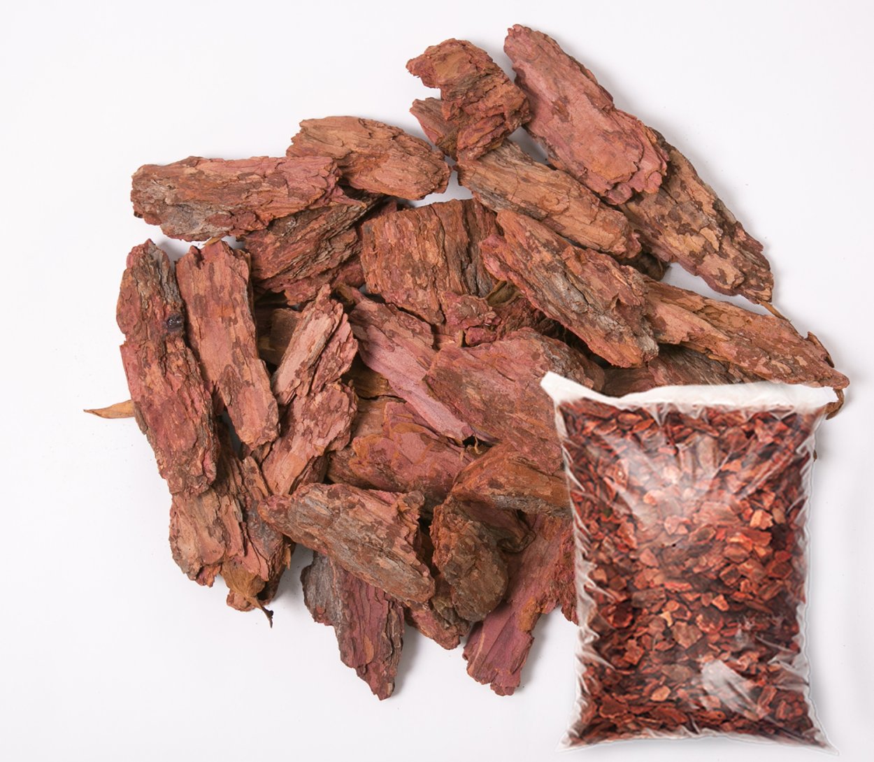 Хинное дерево (Cinchona)