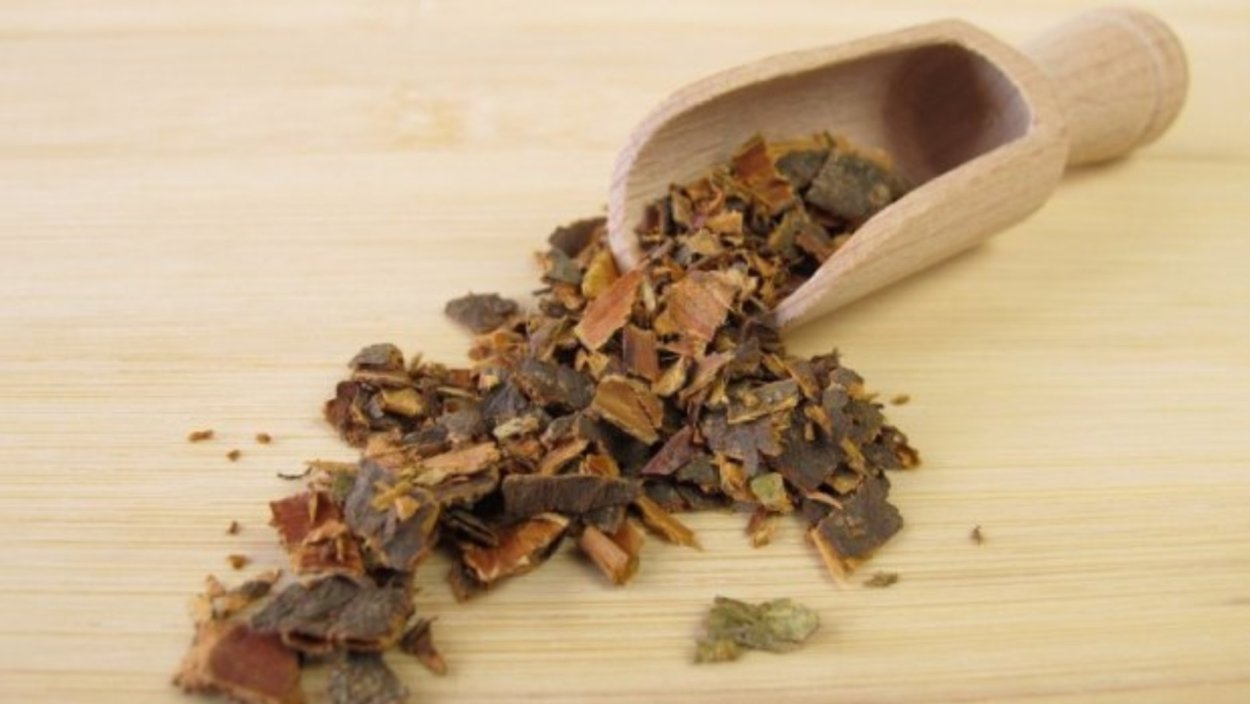 Хинное дерево ГФ