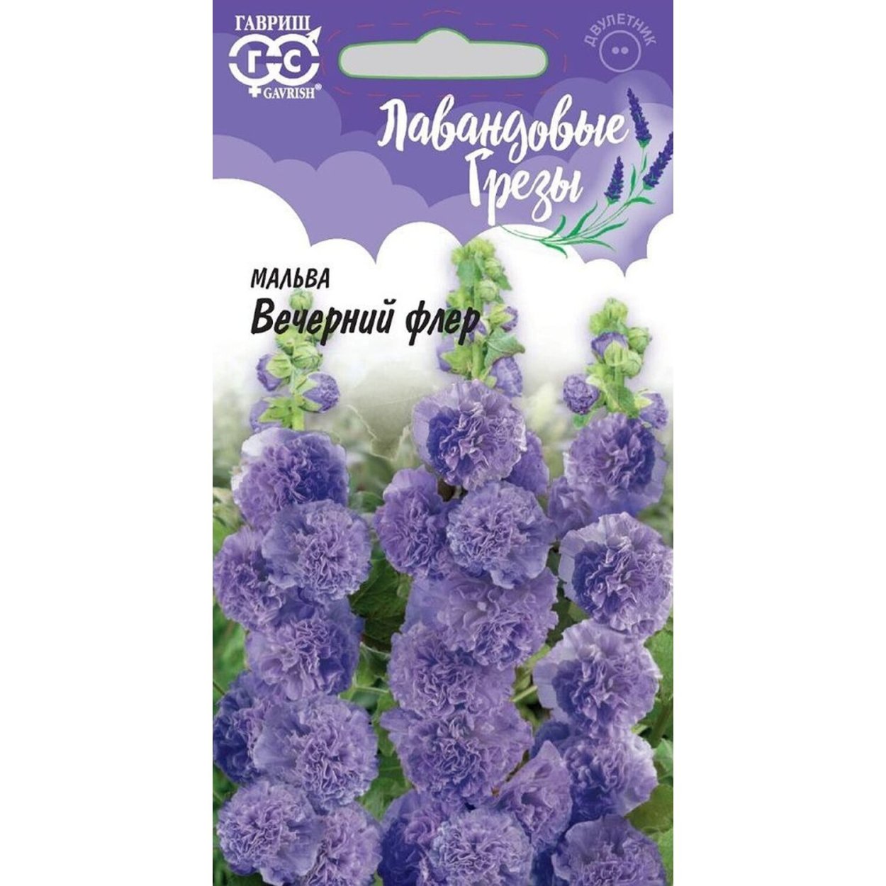 Лиловый цветок гибискуса