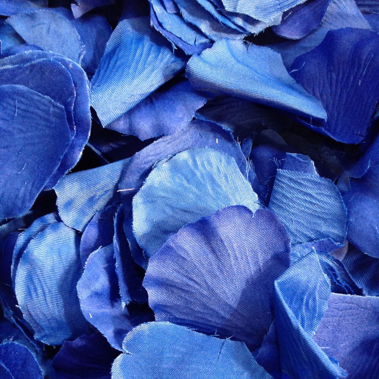 Гибискус древовидный махровый