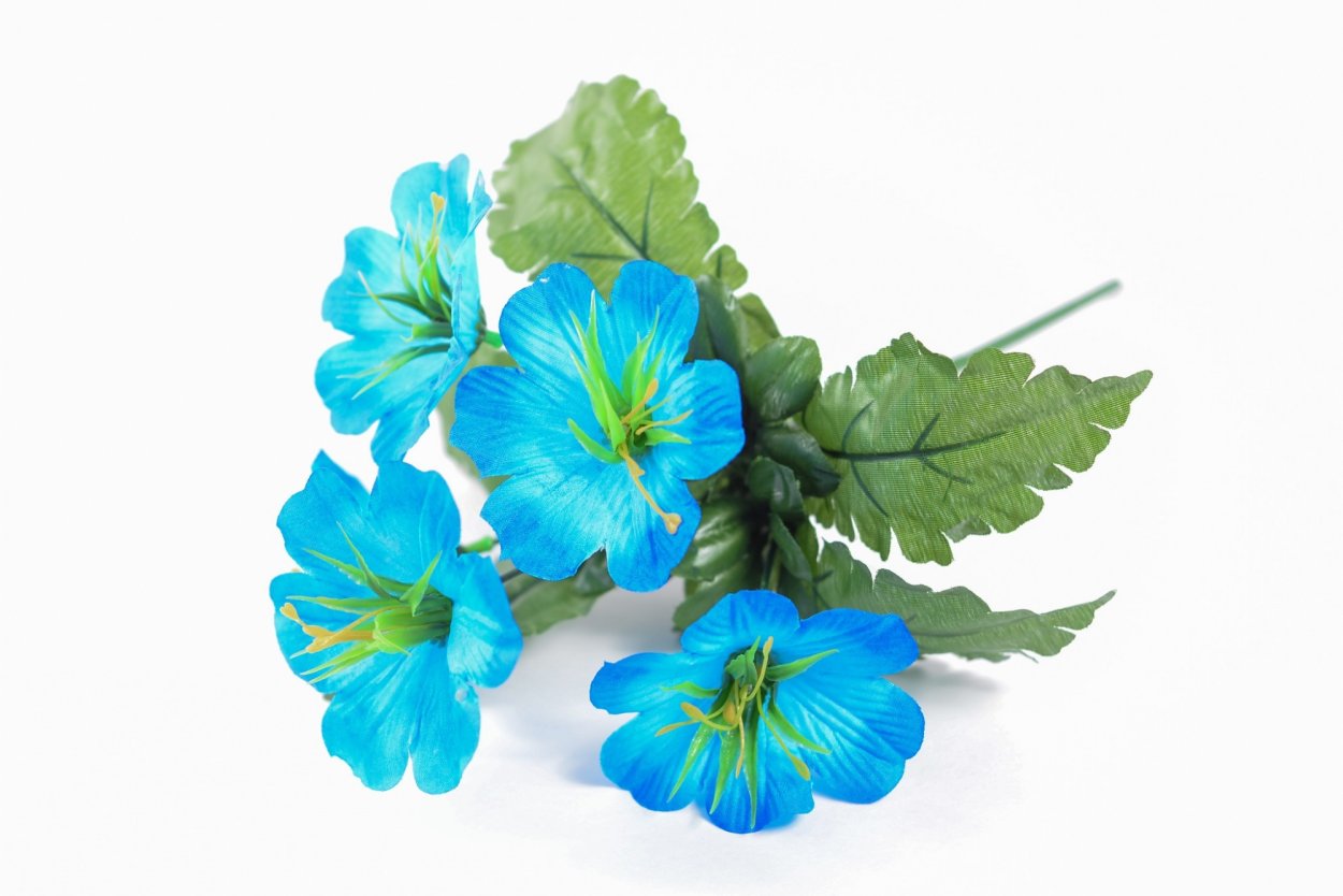 Мальва цветок голубой