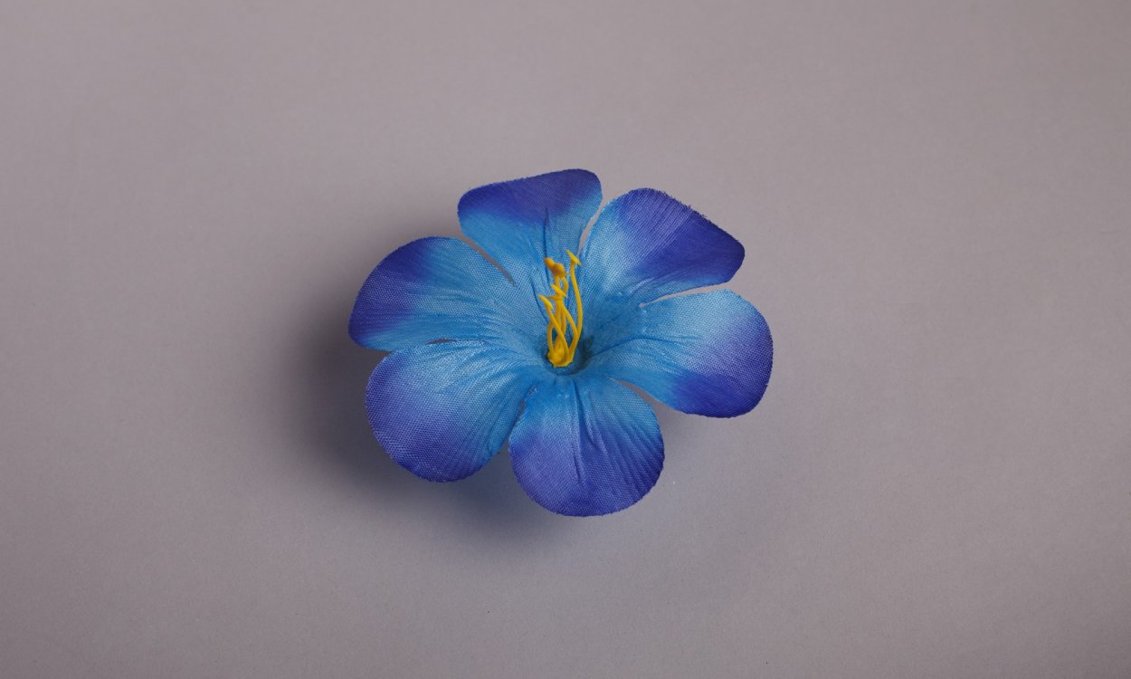 Мальва мелкоцветковая