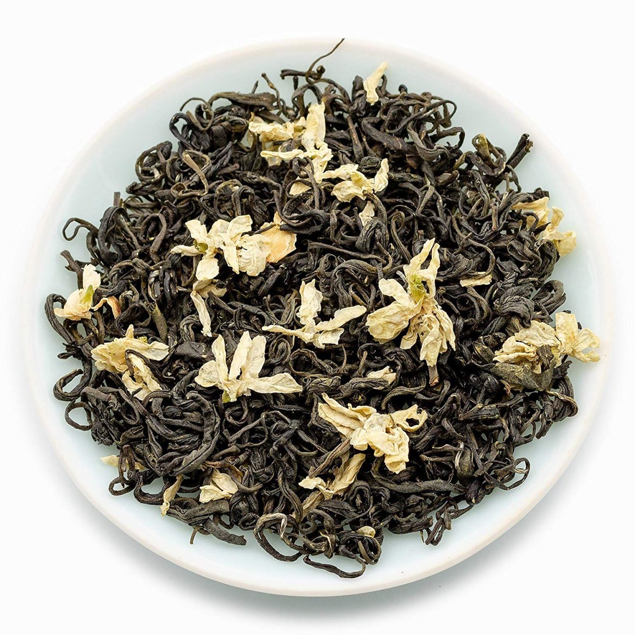 Цветок жасмина Jasminum