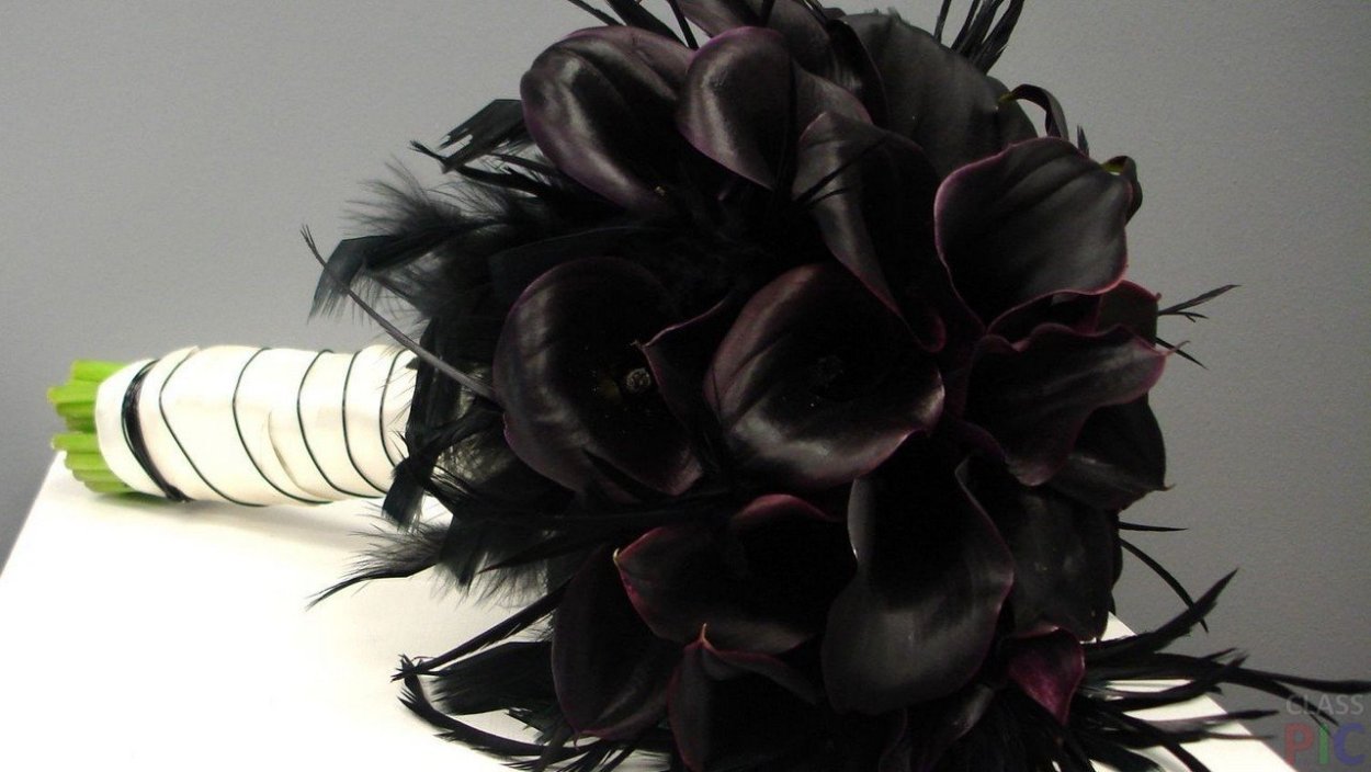 Свадьба в готическом стиле