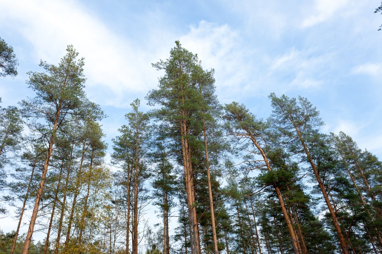 Солнечный орнамент коттеджный поселок