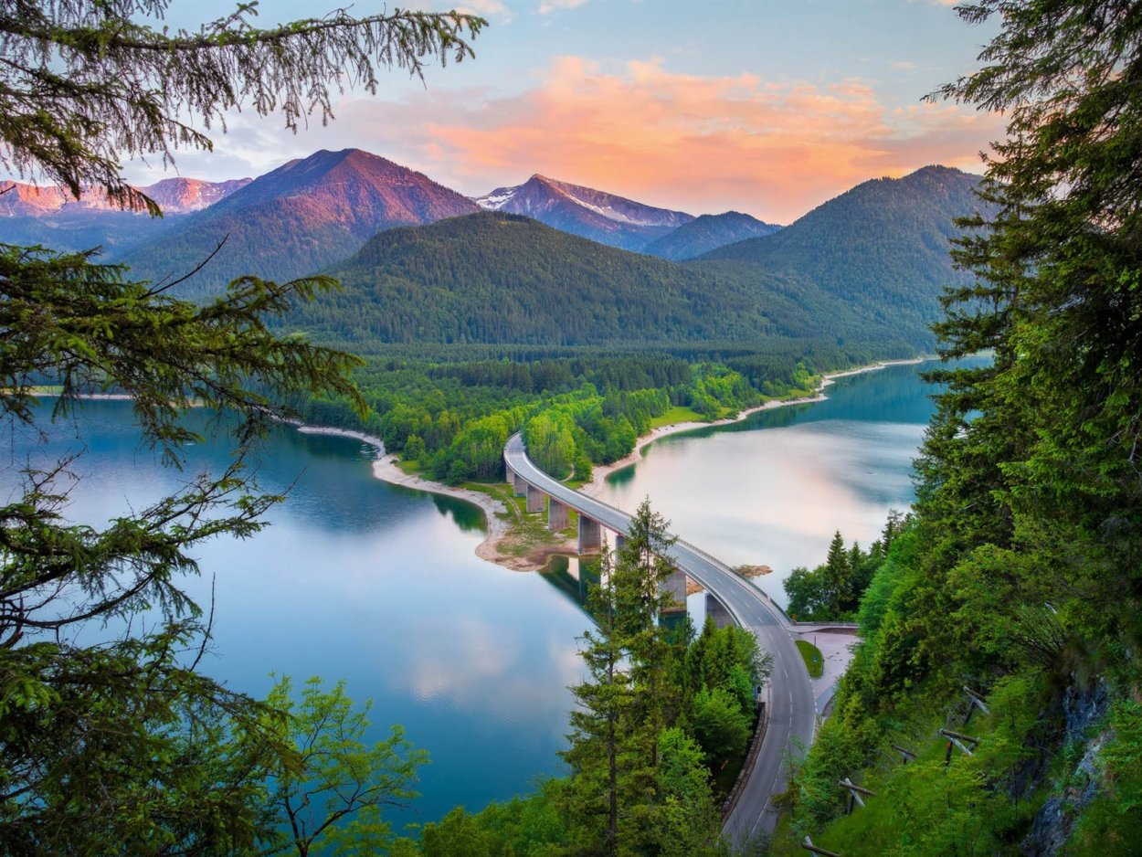 Вайоминг штат лес