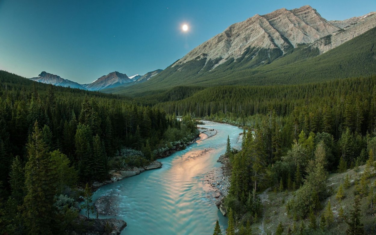 Умиротворяющий пейзаж