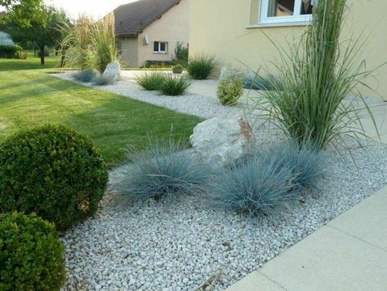 Фестука овсяница зеленая