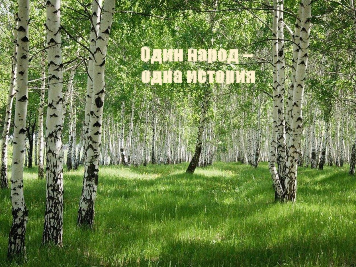 Березово сосновые леса