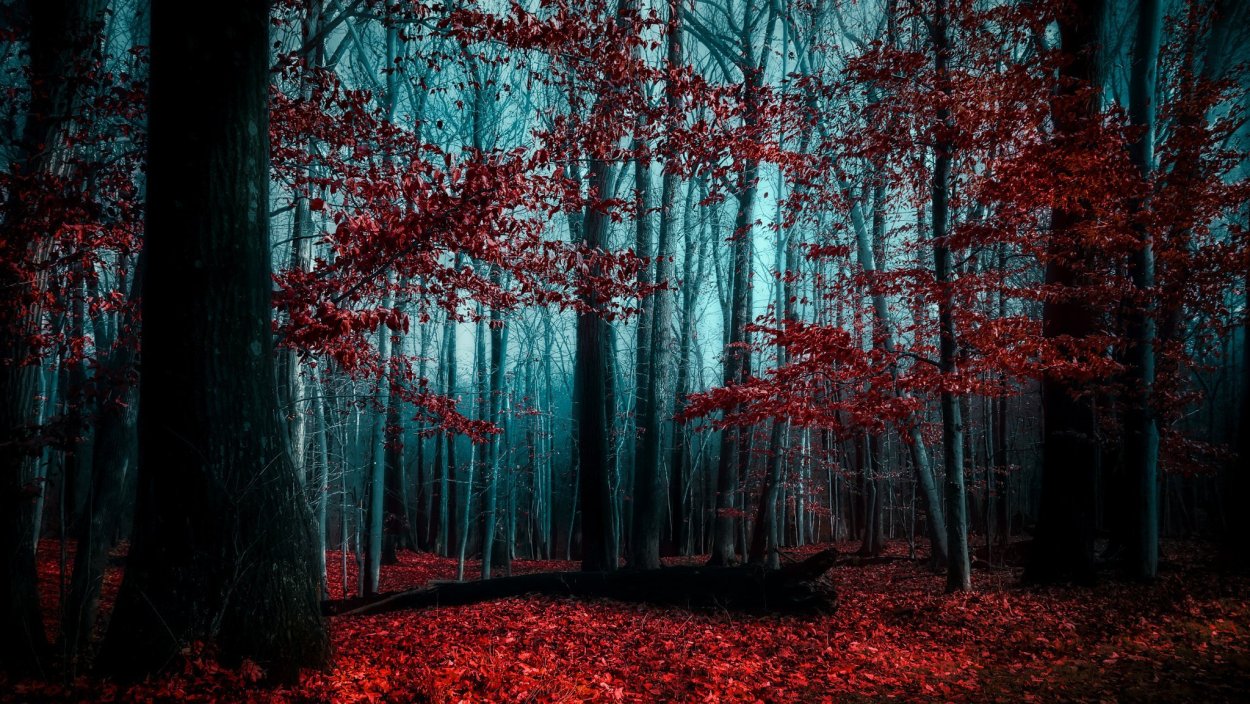 Кроваво красный лес