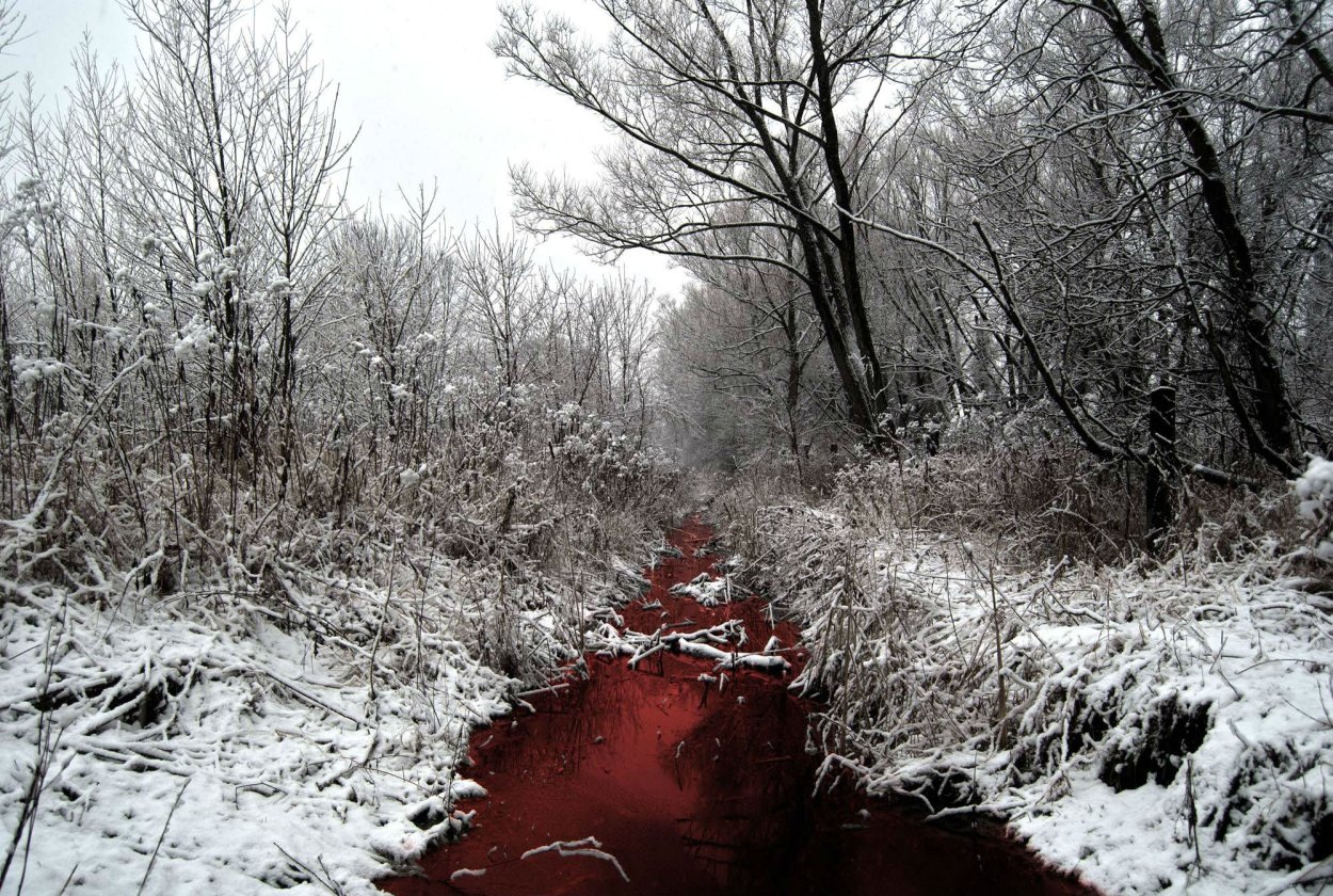 Кроваво красный цвет