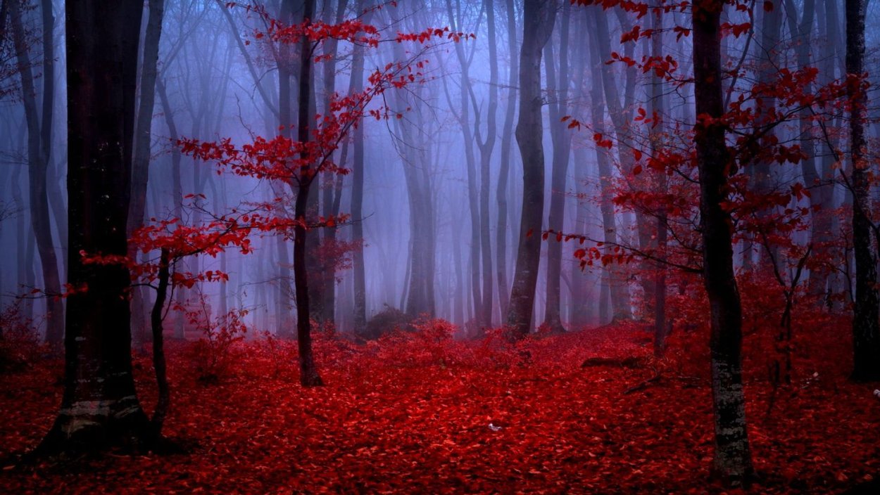 Красная осень