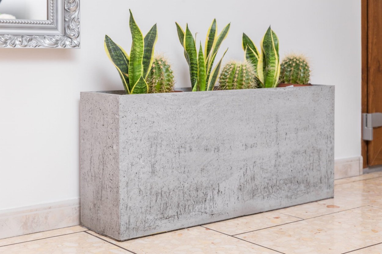 Кашпо Lechuza Rondo Кротон