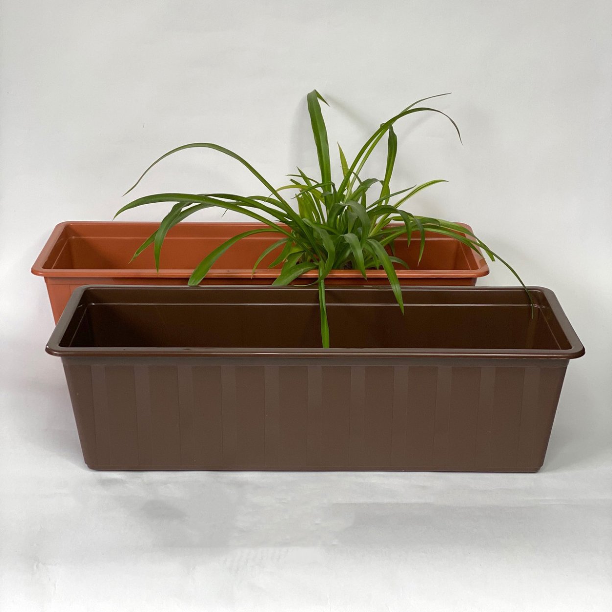 Длинный горшок для цветов