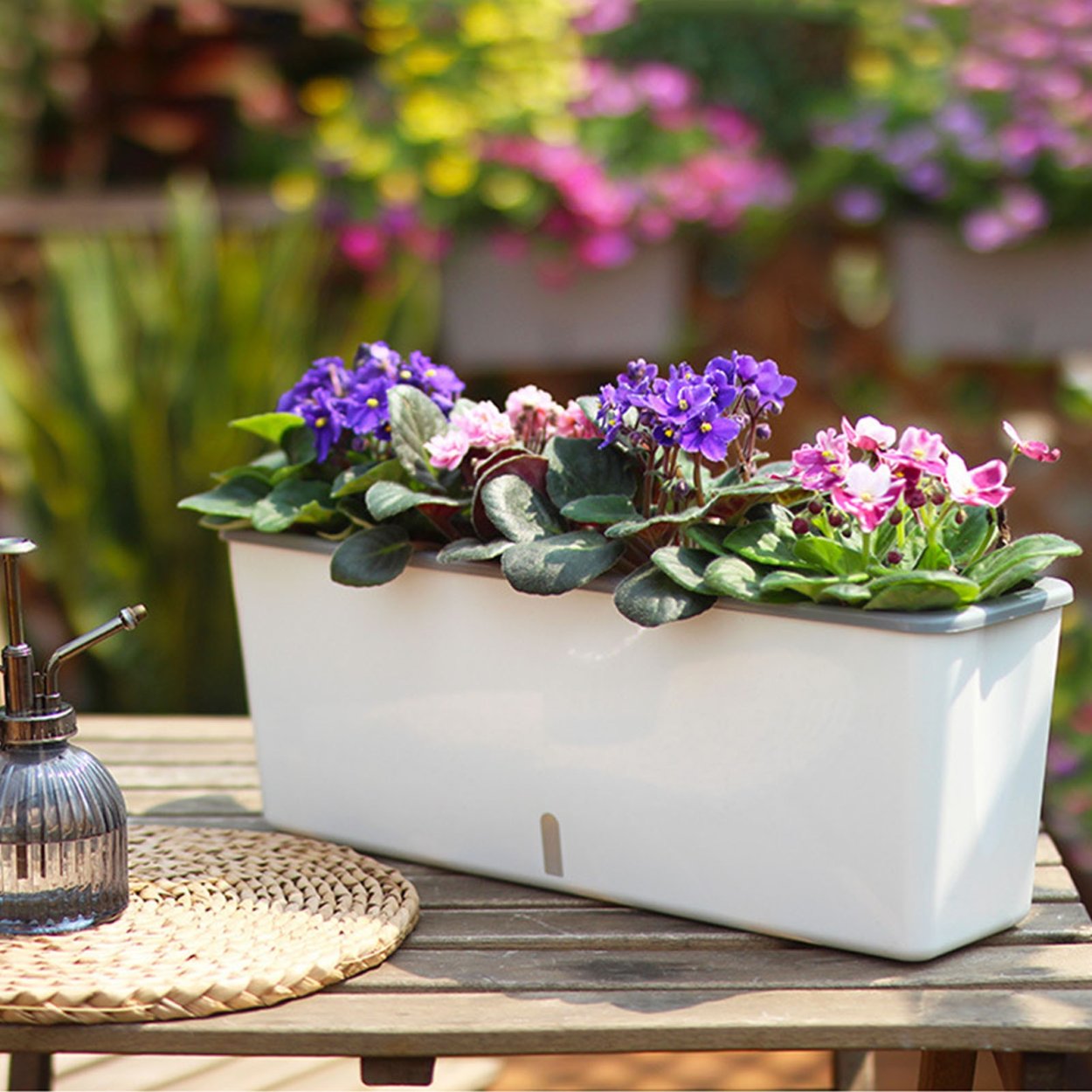 Маленькие растения для офиса