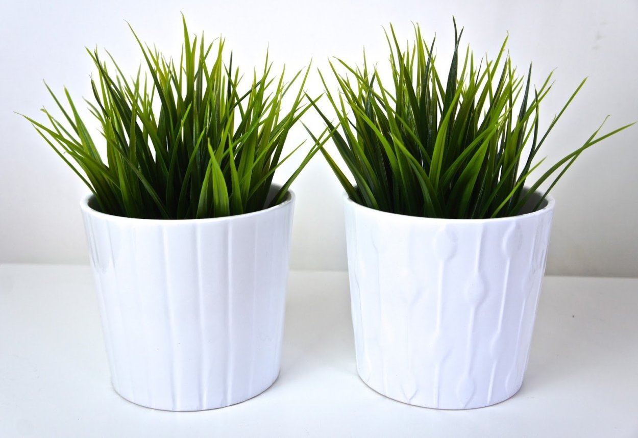 Цветочные горшки на стену