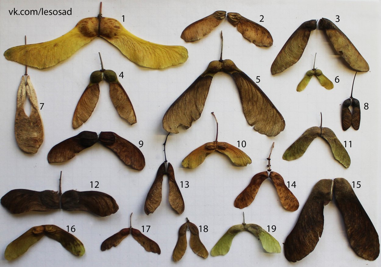 Ветряк детский