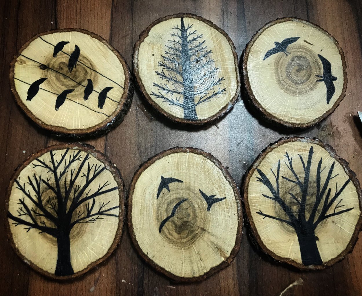 Цезальпиния дерево бразильское