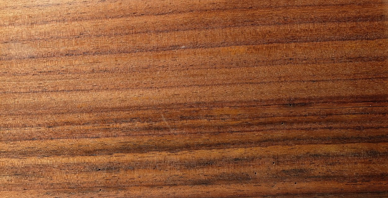 Caesalpinia echinata