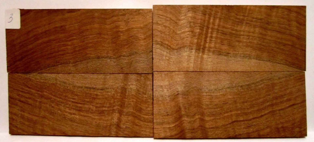 Pau Brasil дерево