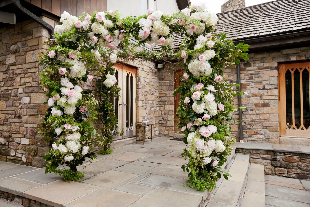 Гортензия бобо Живая изгородь