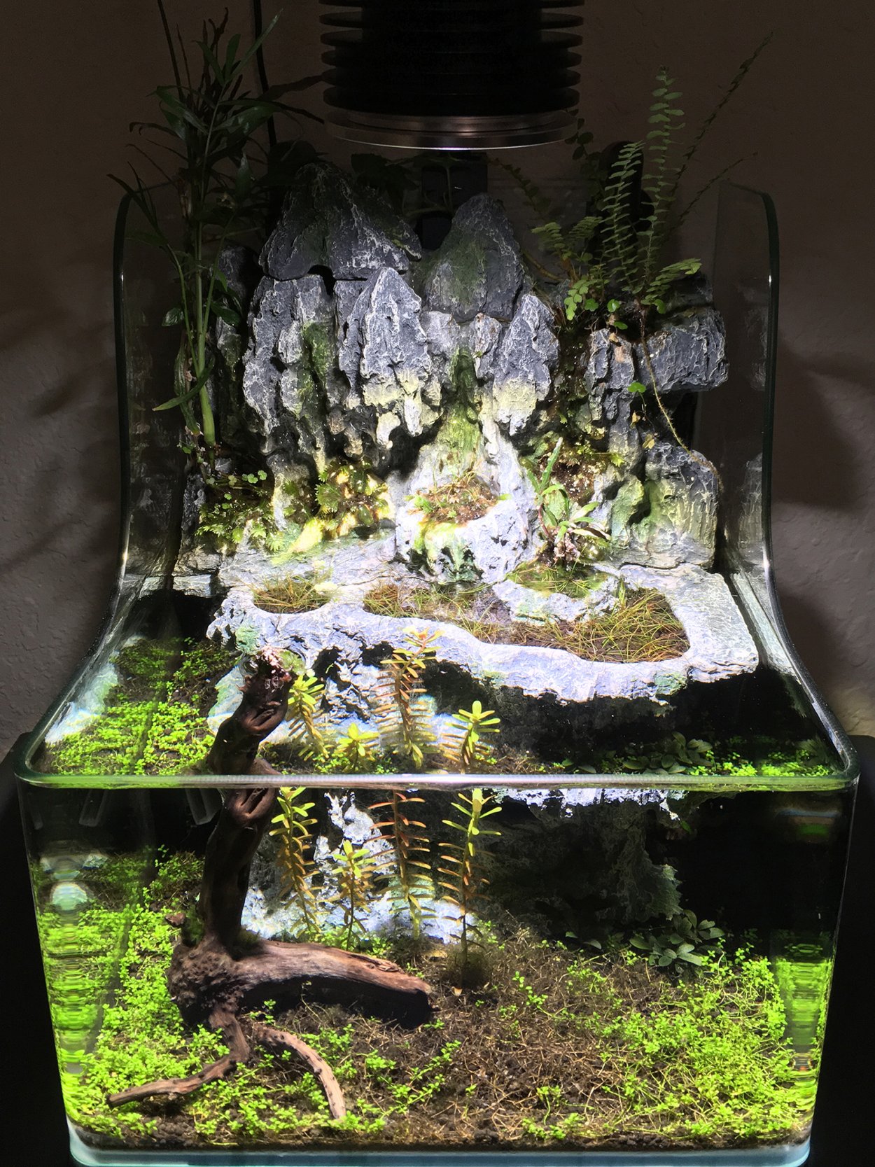 Нано кубик Аква террариум крабами