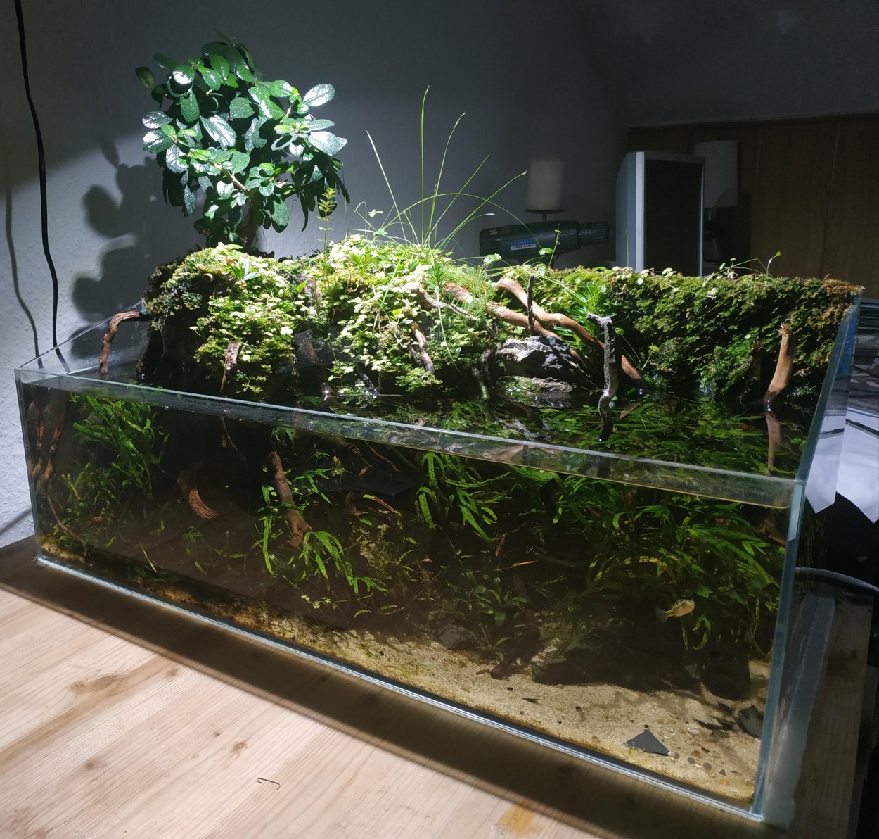 Аквариум палюдариум