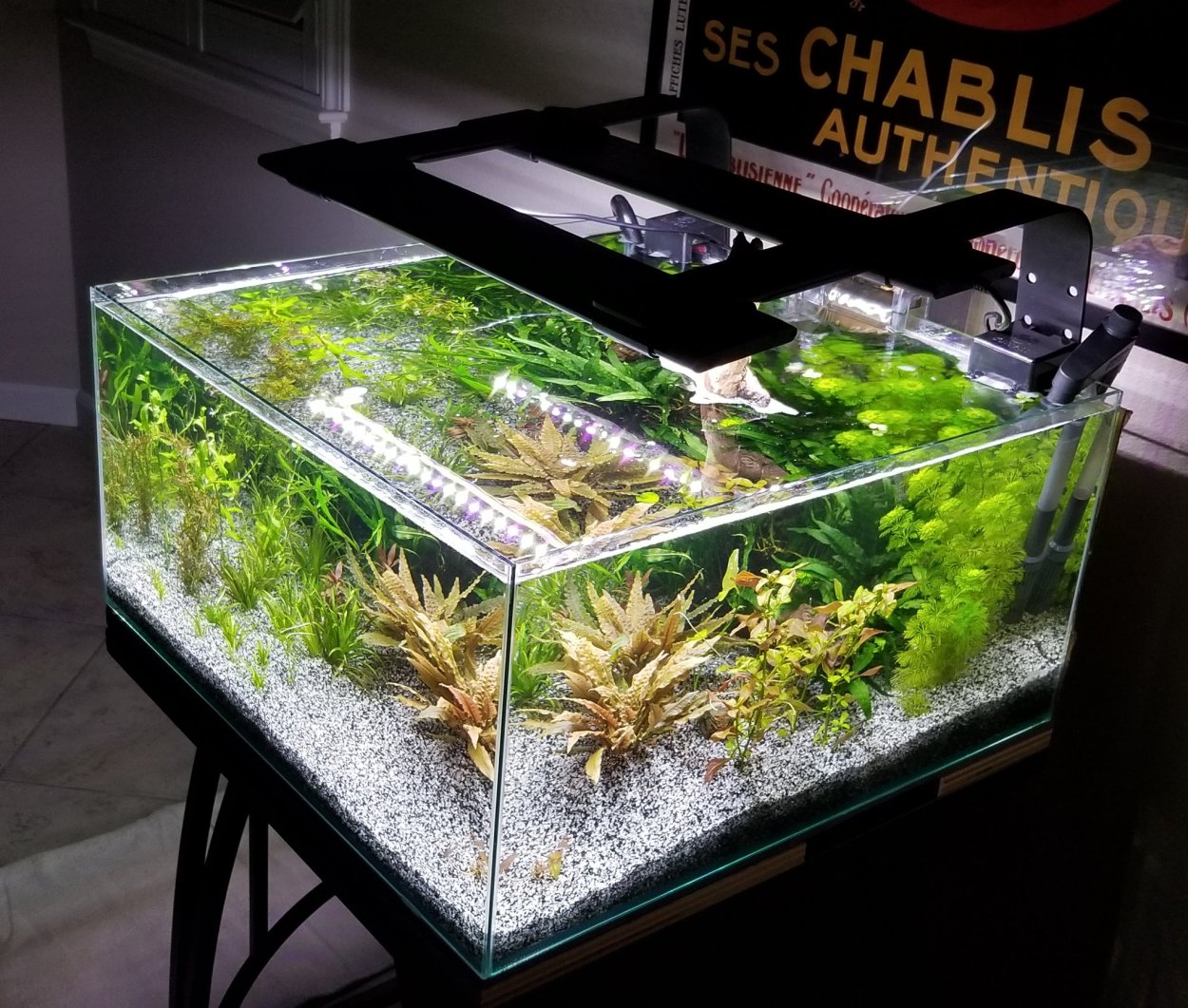 Акваскейп Амазония