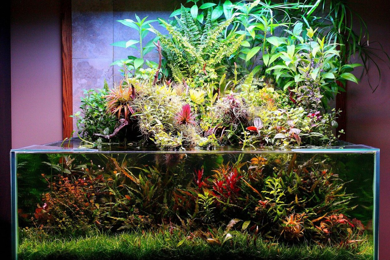 Аквариум палюдариум
