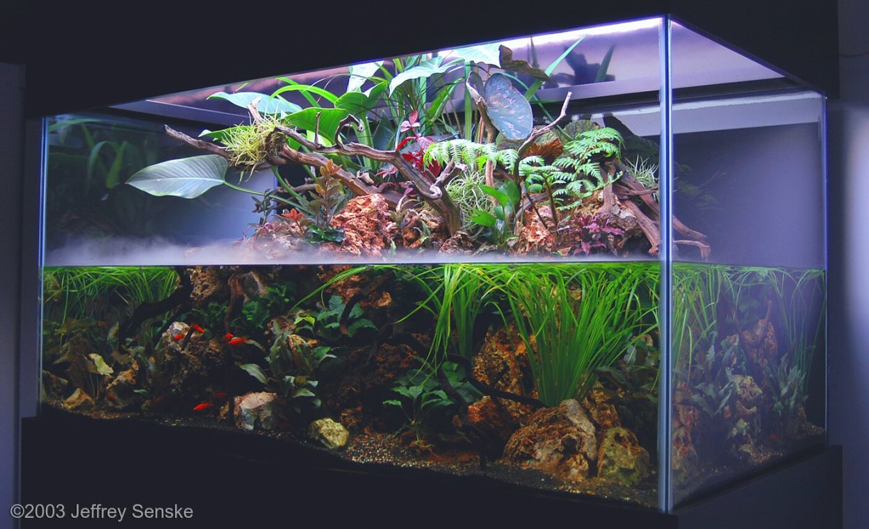 Палюдариум с водопадом