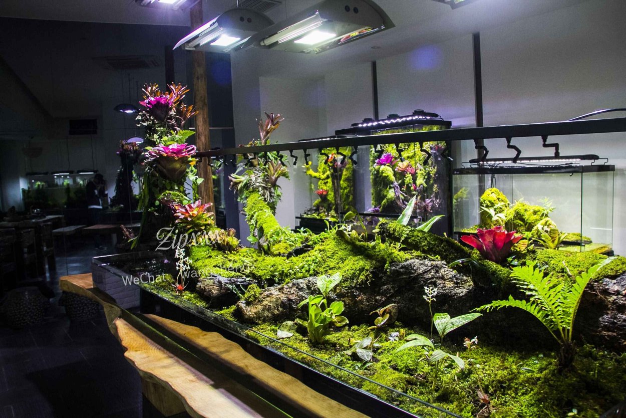 Акваскейп Атлантида