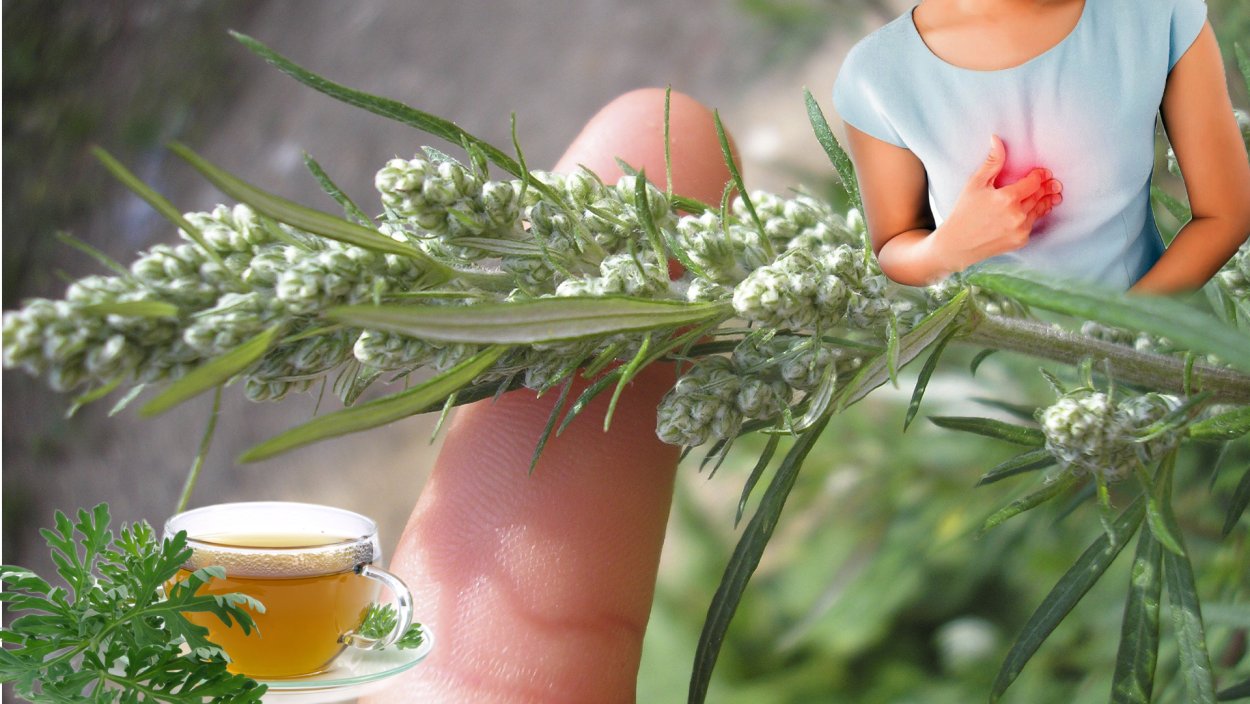 Букет из полыни