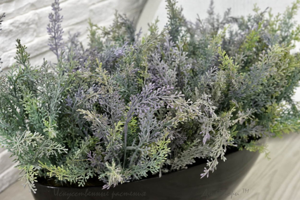 Полынь в пакетиках