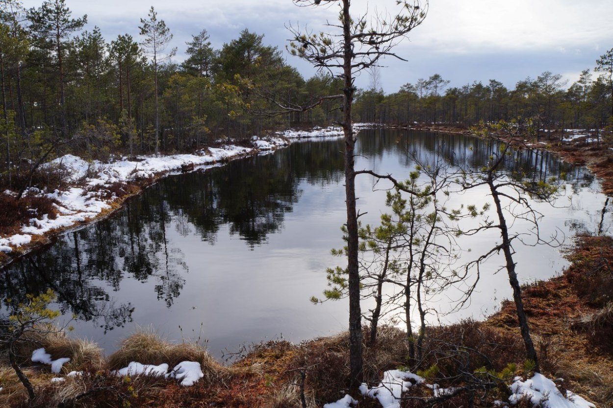 Таменгонтское болото