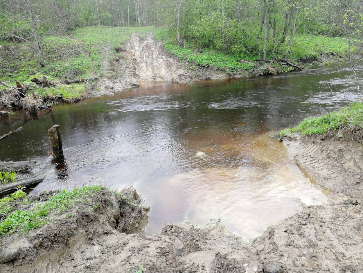 Таменгонтское болото