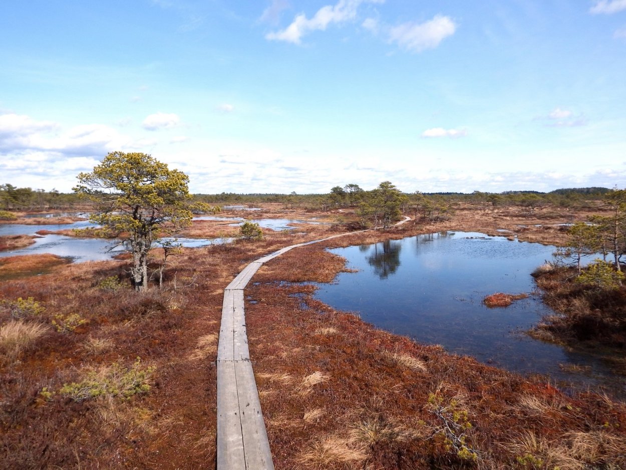 Болото Швентлунд
