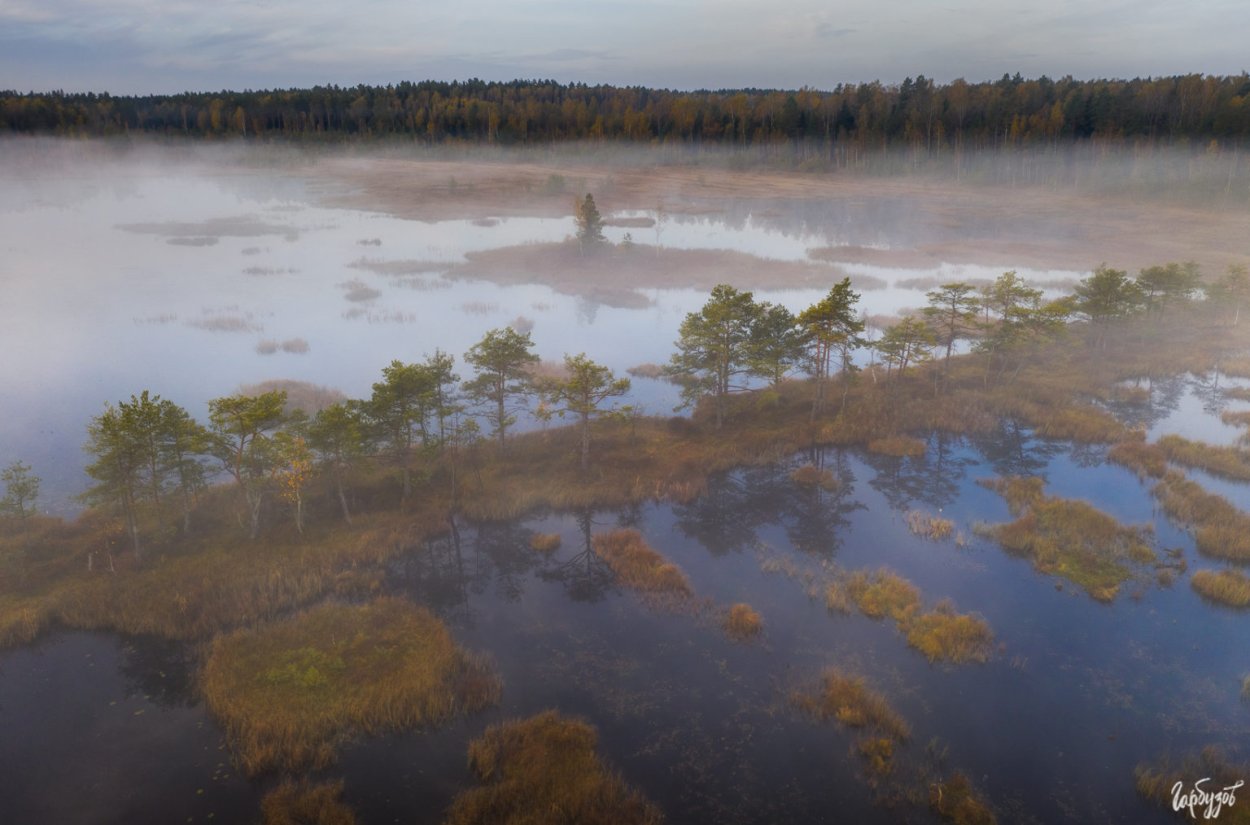 Неодолимое болото Ленинградская область
