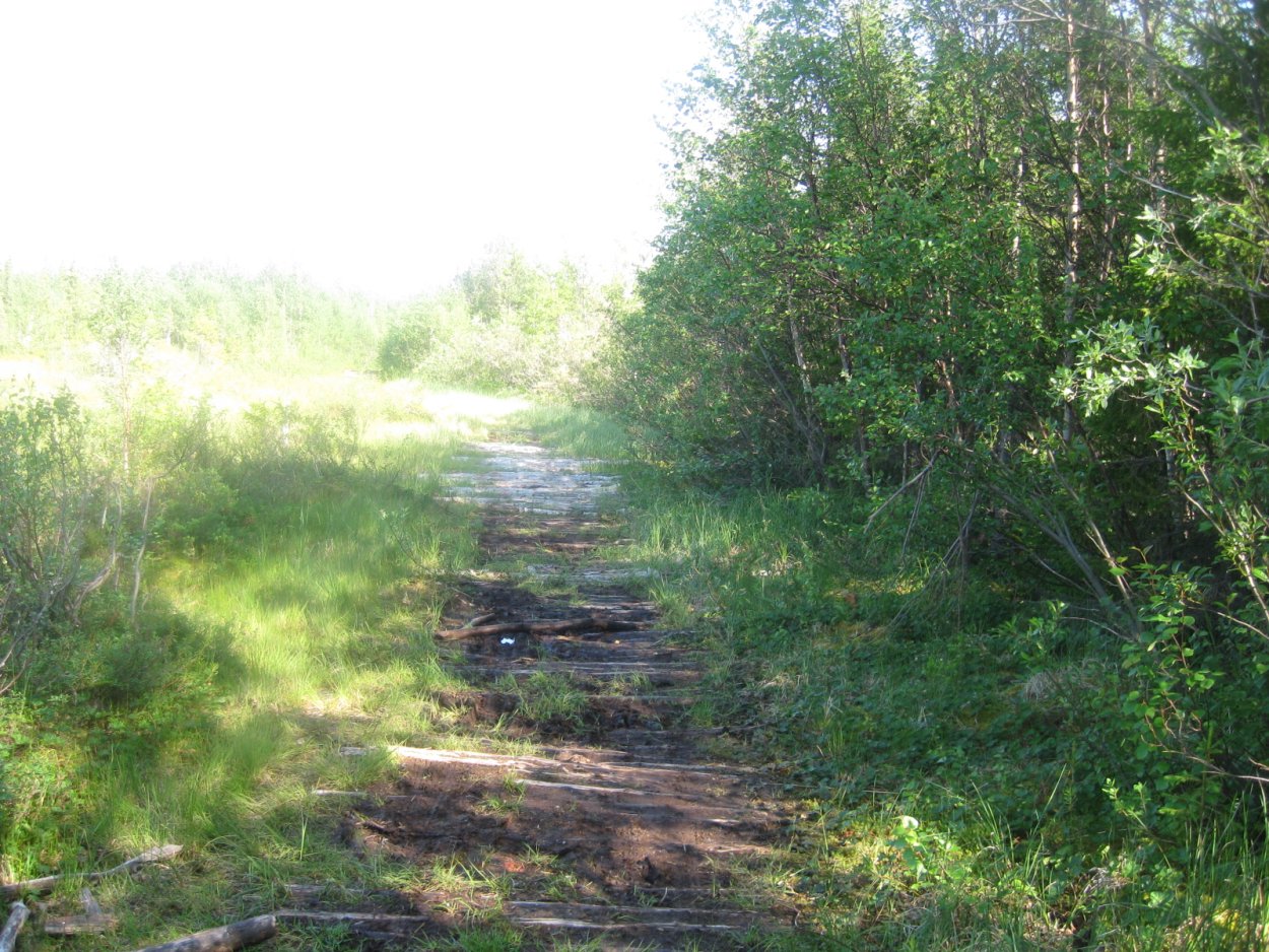 Тихвинский район болота