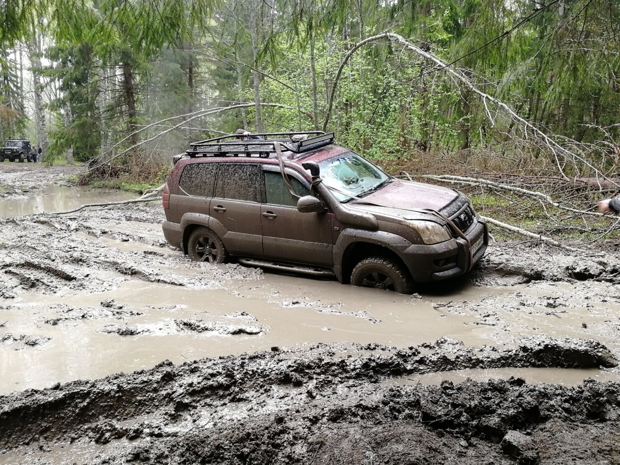Болотистый участок
