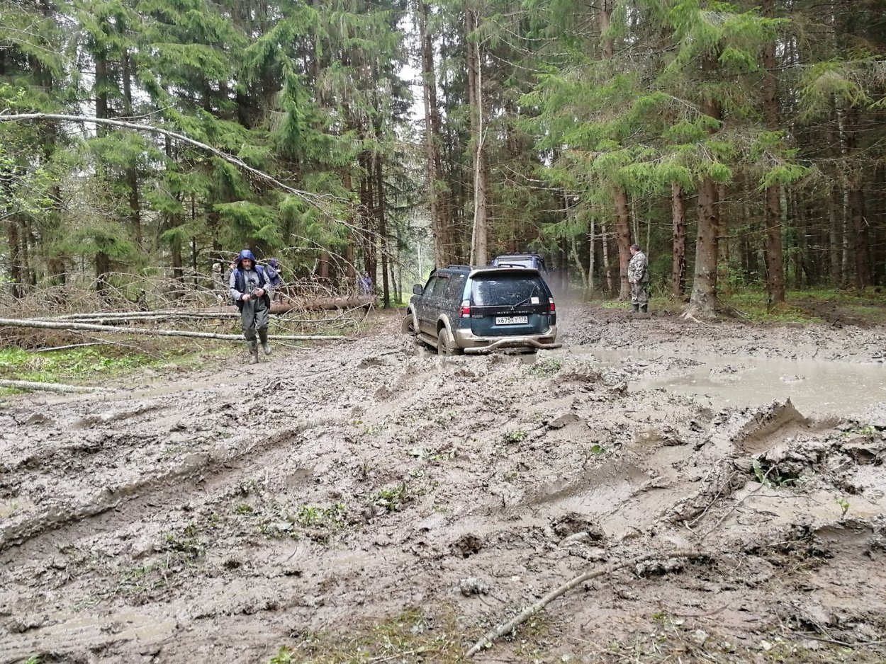 Таменгонтское болото клюква