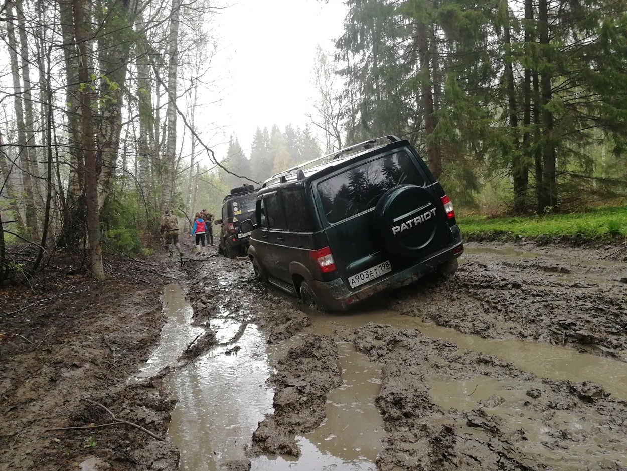 Гринпис Лесная противопожарная