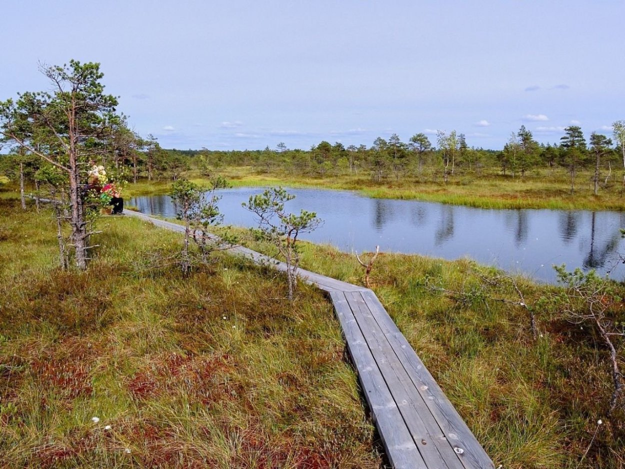Омут настоящий